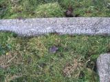 image of grave number 294768